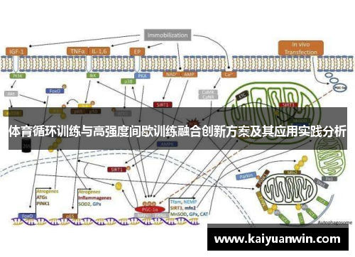 体育循环训练与高强度间歇训练融合创新方案及其应用实践分析